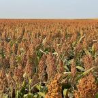 Day 23 Oacoma to Mitchell SD